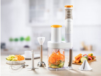 Joy Hand Blender Set Pro